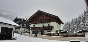 Appartment-Steiner